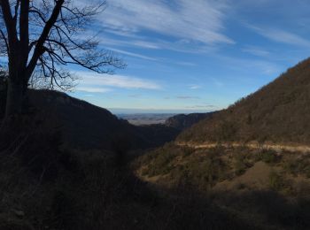 Randonnée Marche Beauregard-Baret - Pas de la pierre par le Col des Tourniers - Photo