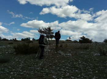 Randonnée Marche Saint-Auban - Tous les 4 à St Auban - Photo