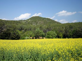 Excursión A pie Porqueres - Ruta de l’Estany a les coves de Serinyà - Photo