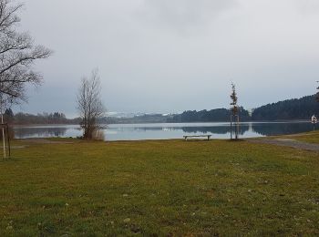 Tour Zu Fuß Waltenhofen - Seerundweg - Photo