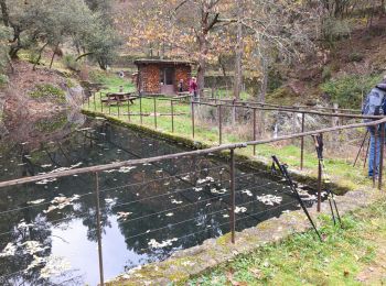 Tocht Stappen Planzolles - moulin de Marceau planzolles - Photo