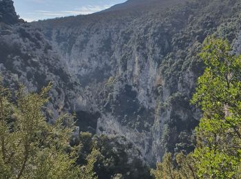 Tocht Stappen La Palud-sur-Verdon - 2023-03-24 Bastidon - Ravin du Brusc - Photo