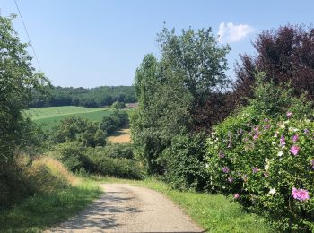 Randonnée V.T.C. Montauban - Autour de Saint Nauphary  - Photo