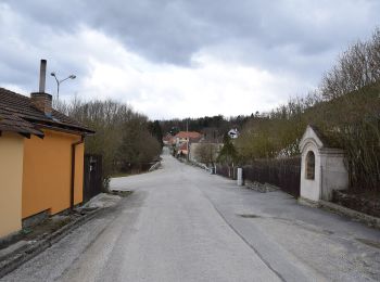 Randonnée A pied Český Krumlov - [Ž] Český Krumlov - Vyšný - Photo