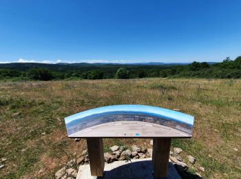 Tocht Noords wandelen Labastide-en-Val - Michel_Picard_2022-05-29_09-51-49 - Photo