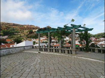 Tour Zu Fuß Monchique - Árvores da Vila (Rota das Árvores Monumentais) - Photo