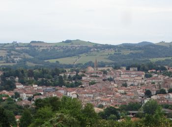 Excursión Senderismo Billom - Blllom le petit turluron - Photo