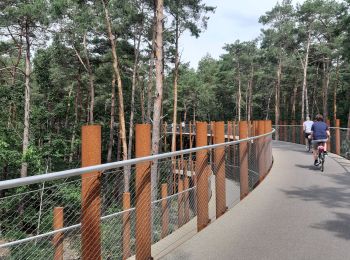Tocht Elektrische fiets Hechtel-Eksel - kempen - Photo