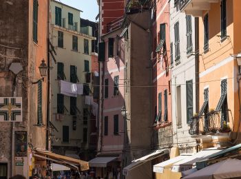 Trail On foot Vernazza - Vernazza – Mad. di Reggio – F.ce di Drignana - Photo