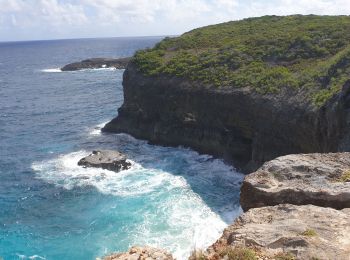 Tocht Stappen Anse-Bertrand - La Porte d'Enfer - Photo