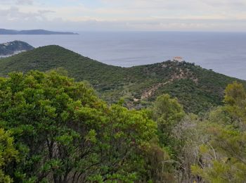 Tour Wandern Rayol-Canadel-sur-Mer - Le Rayol, col de l'étoile  - Photo