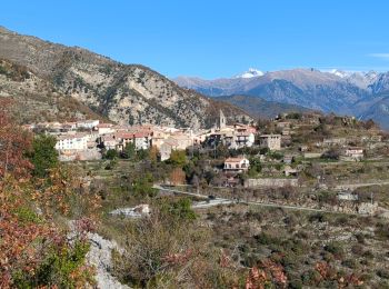 Tocht Stappen Utelle - Cros d'Utelle > Utelles - Photo