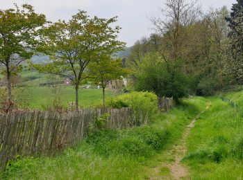 Tocht Stappen Huldenberg - Terlanen - Up and Down - Photo