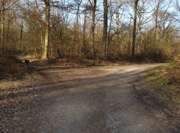 Randonnée Marche Floreffe - petit tour - Photo