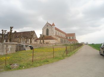 Tour Radtourismus  Villeneuve-sur-Yonne - SEJOUR EN BOURGOGNE - Photo