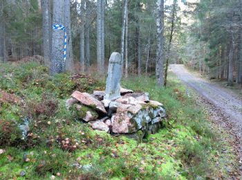 Tocht Te voet  - Storspåret - Photo