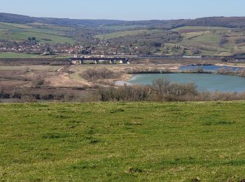 Tocht Stappen Champey-sur-Moselle - CHAMPEY - LA FRONTIERE - Photo