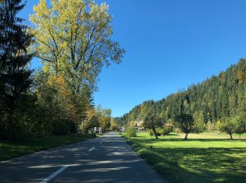 Randonnée A pied Eggiwil - Aeschau - Schüpbach - Photo