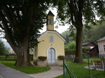 Trail On foot Thannhausen - Wanderweg 11a - Photo