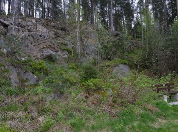 Percorso A piedi Thierstein - Wanderweg Selb-Thierstein - Photo