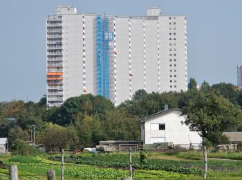 Excursión A pie Sindelfingen - DE-SAV Roter Punkt, Möhringen - Mahdental - Photo