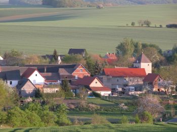 Excursión A pie Mertendorf - Rundweg Pauscha-Löbitz - Photo