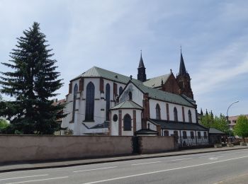 Tocht Stappen Haguenau - Circuit de la Moder : Haguenau - Kaltenhouse - Marienthal - Photo