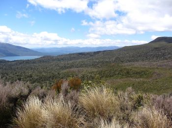 Tocht Te voet  - Te Araroa - 03 Waikato - n 42 Traverse - Photo