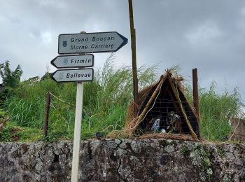 Tocht Stappen Le Vauclin - ,Boucle Montagne Vauclin via Coq. - Photo