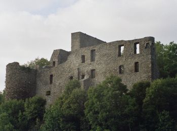 Randonnée A pied Virneburg - Virne-Burgweg - Photo