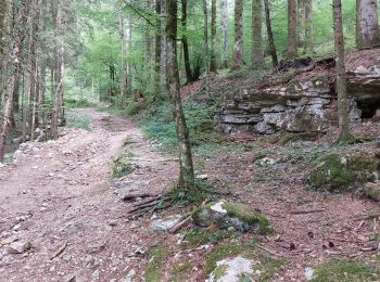Randonnée Marche Ouhans - RANDONNEE A LA SOURCE DE LA LOUE - Photo