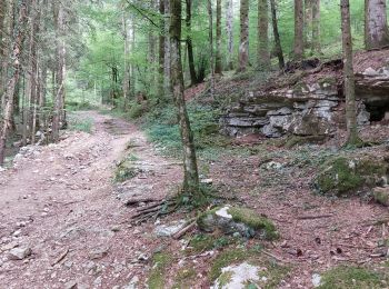 Excursión Senderismo Ouhans - RANDONNEE A LA SOURCE DE LA LOUE - Photo