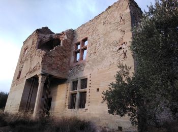 Tour Wandern Caromb - Caromb le Paty le BArroux - Photo