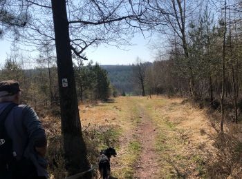 Randonnée Cheval Aywaille - Deigne (Bergerie) 16 km - Photo