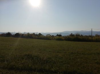 Randonnée Marche Loriol-sur-Drôme - De la vieille tour au château de Vaucourte - Photo