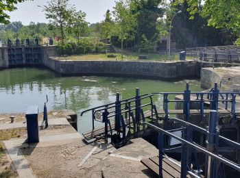 Tour Wandern Agde - Agde - Photo