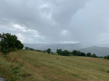 Trail Walking Chamalières-sur-Loire - Le rocher de Costaros - Photo
