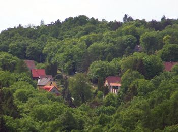 Percorso A piedi Svatý Jan pod Skalou - NS Svatojánský okruh - Photo