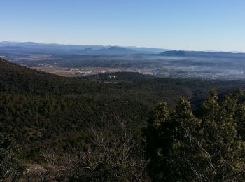 Tour Wandern Saint-Maximin-la-Sainte-Baume - M 6 fev mont Aurelien - Photo