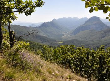 Randonnée Marche Saou - Saou. 12km - Photo