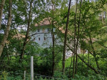 Percorso A piedi Sankt Johann am Wimberg - Mühlenweg - Photo