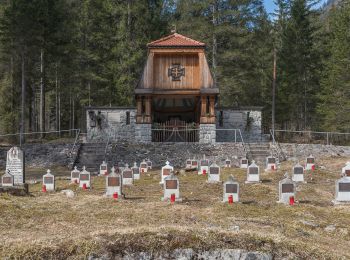 Percorso A piedi Malborghetto Valbruna - (SI A08) Casa Alpina Valbruna - Bivio Rifugio Pellarini - Photo