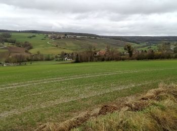 Tour Wandern Vallées-en-Champagne - La Chapelle-Monthodon du 14-12-2023 - Photo