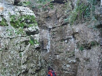 Excursión A pie Excideuil - Excideuil les chemins des meuniers - Photo