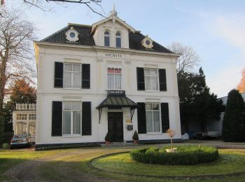Tour Zu Fuß Rheden - Groene Wissel: Velp - Photo
