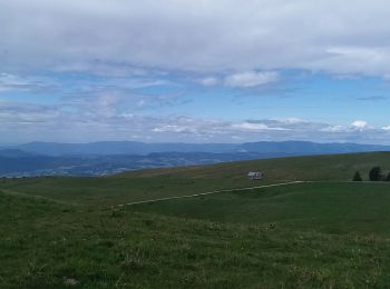 Tocht Stappen Leschaux - petit tour de Semnoz piste - Photo