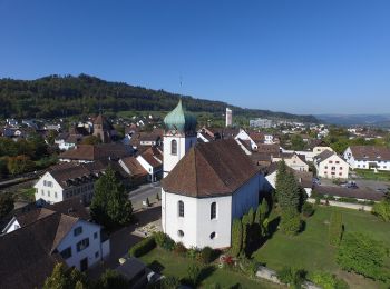 Excursión A pie Bad Zurzach - Koblenz - Zurzacherberg - Photo