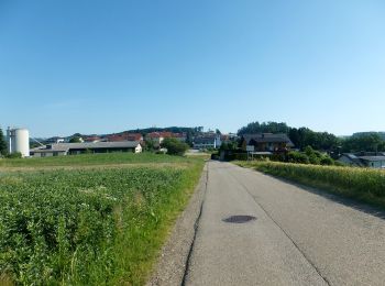 Trail On foot Altenberg bei Linz - Oberbairing-Altenberg - Photo