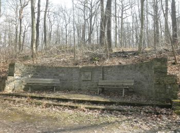 Randonnée A pied  - Erfurter Steigerwald: Gelbes Kreuz - Photo