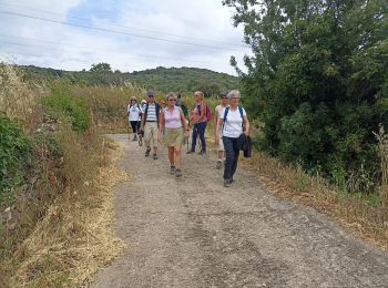 Excursión Senderismo Neffiès - randonnée à Neffies - Photo